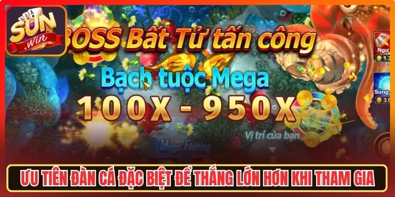 Ưu tiên đàn cá đặc biệt để thắng lớn hơn