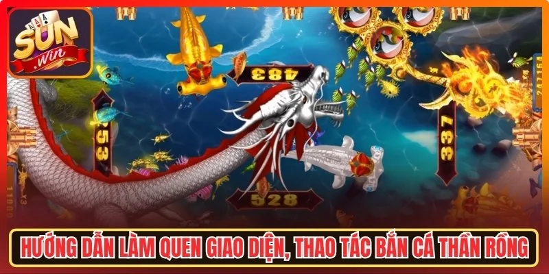 Cách Chơi Bắn Cá Thần Rồng Sunwin Chi Tiết Cho Người Mới