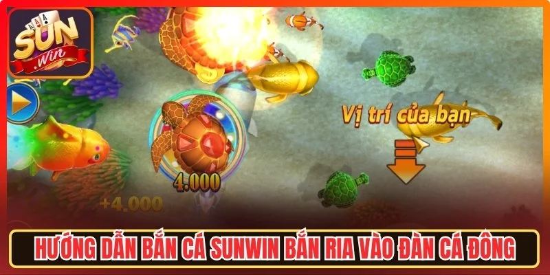 Hướng dẫn bắn cá Sunwin bắn ria vào đàn cá đông