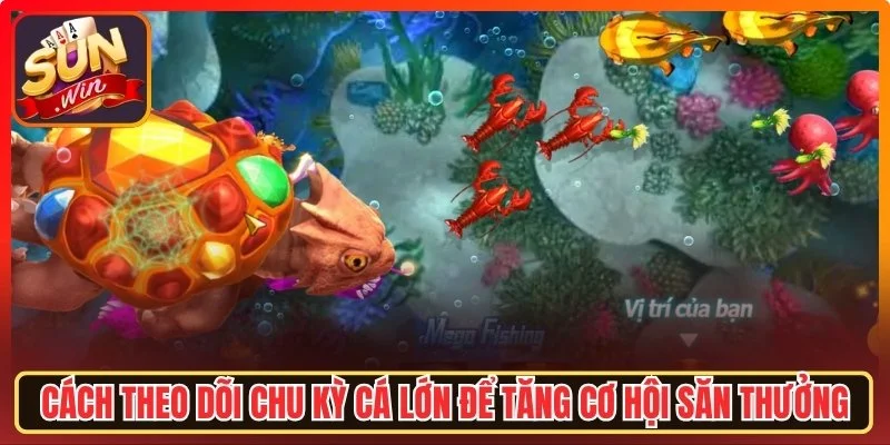 Mẹo Chơi Bắn Cá Sunwin Hiệu Quả Giúp Tăng Tỷ Lệ Săn Thưởng