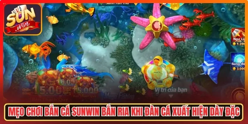 Mẹo chơi bắn cá Sunwin bắn ria khi đàn cá xuất hiện dày đặc