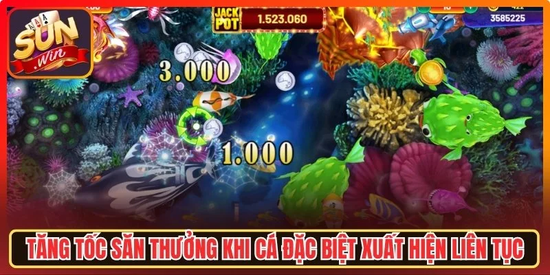 Tăng tốc săn thưởng khi cá đặc biệt xuất hiện liên tục