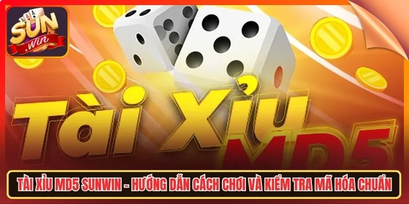 Tai xiu md5 sunwin huong dan cach choi va kiem tra ma hoa chuan