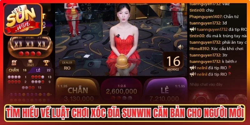 Xóc Đĩa Sunwin - Bí Quyết Làm Chủ Bàn Cược Đỉnh Cao Năm 2026